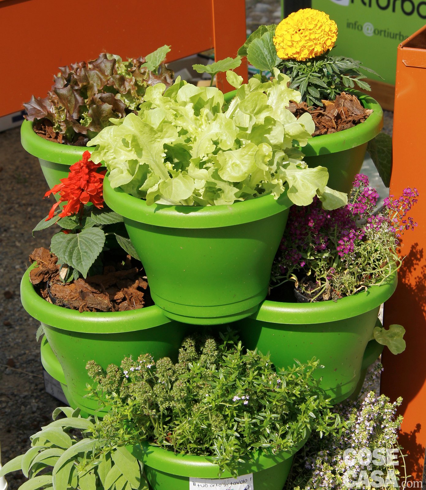 Idee da copiare cose di casa Giardino Serra idee