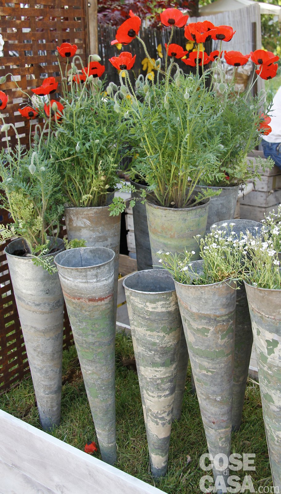 Arredamento terrazzo piante : arredo terrazzo con piante ...