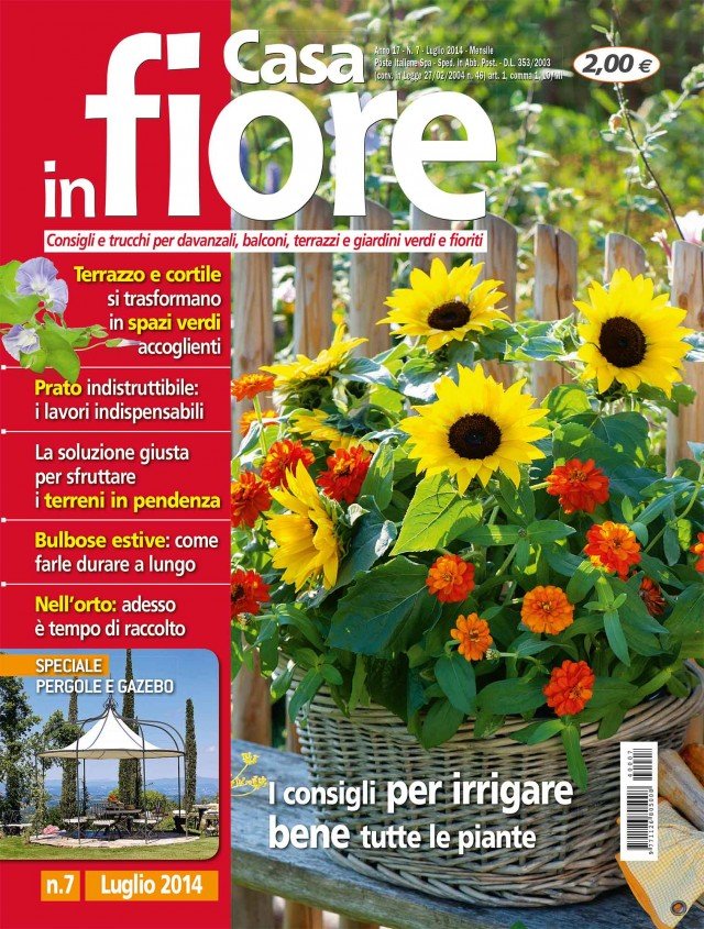 CIF07-cover CIF07-cover