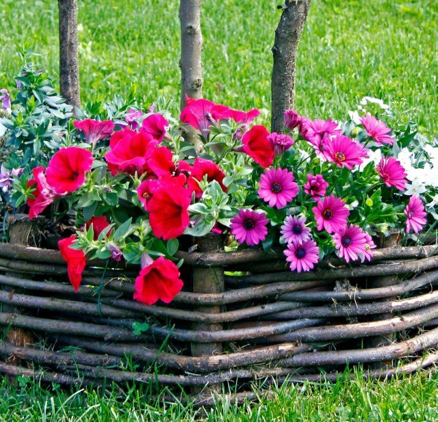 barriere-intrecciate-amstudio barriere-intrecciate-amstudio