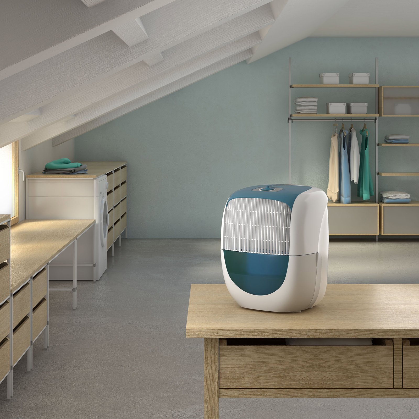 Muffa soffitto camera da letto: scarafaggi, muffa, trappole per ...