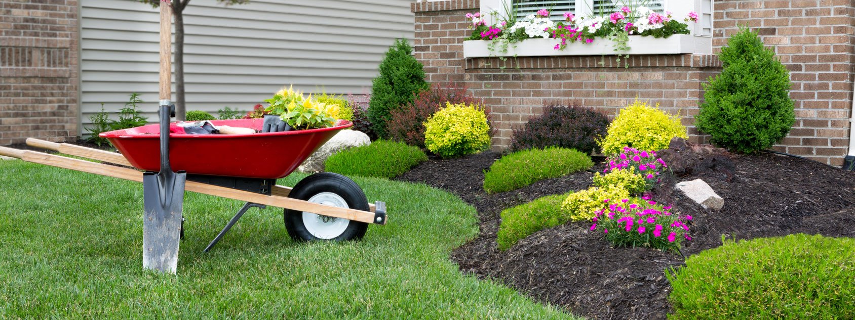 Fiori, giardino, balcone e terrazzo, green arredamento cose di ...