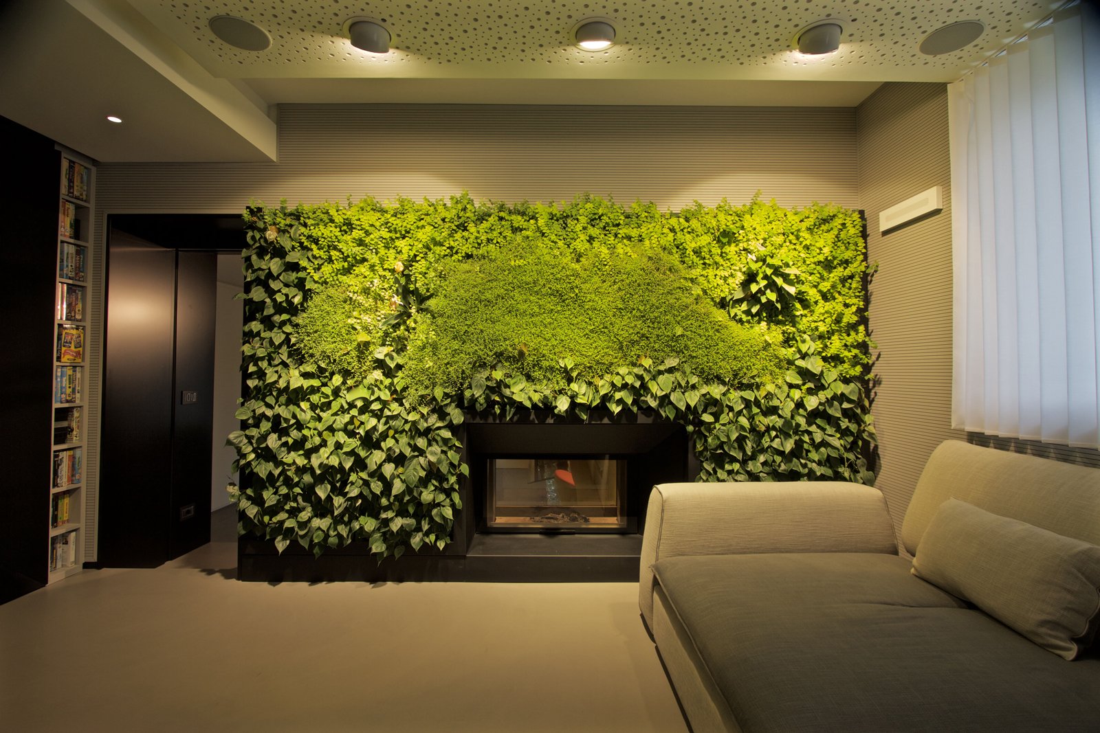 arredare con le piante una parete verde in casa cose di