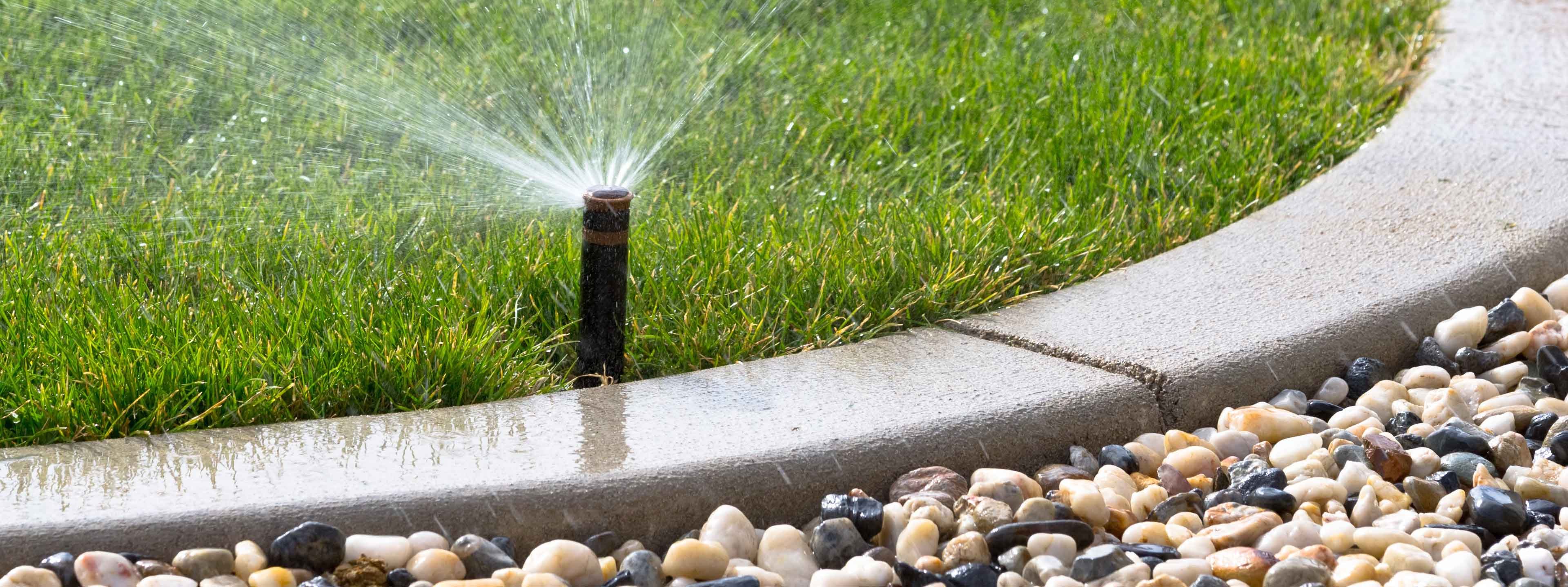 Giardino, aiuole e green arredamento cose di casa Decorazione Giardino Vialetto