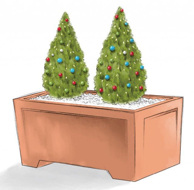 Bastano due conifere uguali da decorare con piccole palline di Natale colorate per creare allegre composizioni. Per rendere l’insieme più bello, basta coprire il terreno con sassolini bianchi o corteccia di pino. Si può anche porre un filo di lucine per decorare le piante, scegliendo prodotti certificati per l’uso all’aperto. Bastano due conifere uguali da decorare con piccole palline di Natale colorate per creare allegre composizioni. Per rendere l’insieme più bello, basta coprire il terreno con sassolini bianchi o corteccia di pino. Si può anche porre un filo di lucine per decorare le piante, scegliendo prodotti certificati per l’uso all’aperto.