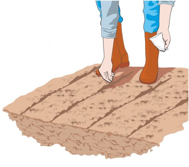 1. Il basilico, l'origano e il prezzemolo si seminano sulla fila. 1. Il basilico, l'origano e il prezzemolo si seminano sulla fila.