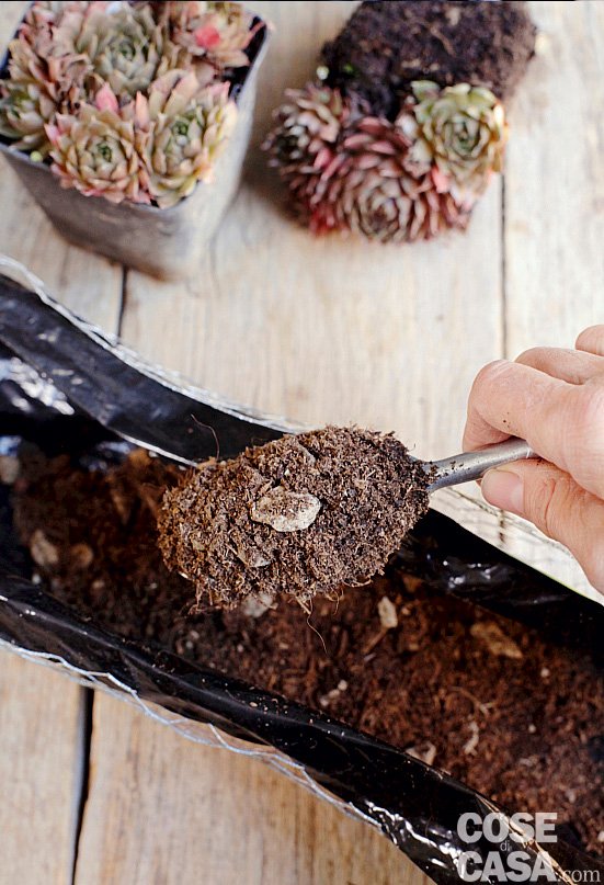 2. Collocate il telo di plastica sopra la rete e riempitelo con il terriccio preparato. Poi chiudete il telo sovrapponendone i lembi, avvicinate i bordi della rete di metallo e agganciateli tra loro con il filo di ferro usando una pinza. Avrete così formate una sorta di tubo di terra. Curvate ora il tubo cercando di dare una forma circolare e, con altro filo di ferro, chiudete eventuali aperture. 2. Collocate il telo di plastica sopra la rete e riempitelo con il terriccio preparato. Poi chiudete il telo sovrapponendone i lembi, avvicinate i bordi della rete di metallo e agganciateli tra loro con il filo di ferro usando una pinza. Avrete così formate una sorta di tubo di terra. Curvate ora il tubo cercando di dare una forma circolare e, con altro filo di ferro, chiudete eventuali aperture.