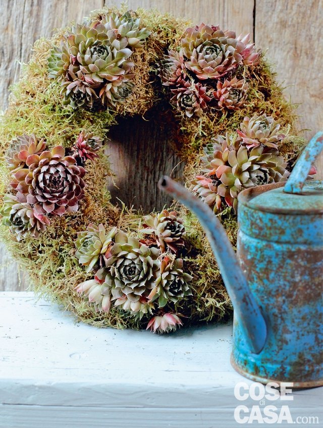 Per brevi periodi potete tenere in casa la ghirlanda di sempervivum magari adagiata su un alzatina. Poi spostatela all'esterno, appoggiata a un muro o su un tavolo all'esterno. Ricordate di bagnare le piantine di sempervivum solo quando la terra di coltivazione sarà asciutta, prestate attenzione a non bagnare le rosette ma solo la terra e a non eccedere con l'acqua in quanto le radici soffrono l'umidità. Per brevi periodi potete tenere in casa la ghirlanda di sempervivum magari adagiata su un alzatina. Poi spostatela all'esterno, appoggiata a un muro o su un tavolo all'esterno. Ricordate di bagnare le piantine di sempervivum solo quando la terra di coltivazione sarà asciutta, prestate attenzione a non bagnare le rosette ma solo la terra e a non eccedere con l'acqua in quanto le radici soffrono l'umidità.