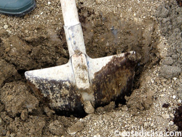 scavare una buca ampia e profonda di dimensioni almeno doppie rispetto al nostro bulbo tuberizzato di dalia scavare una buca ampia e profonda di dimensioni almeno doppie rispetto al nostro bulbo tuberizzato di dalia