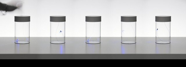 Eleganti e leggiadre, le lucciole svolazzano in una scenografica esibizione notturna. Davide Groppi e Michele Groppi, hanno pensato di custodirle, come si faceva da bambini, in un barattolo e di farci sognare l’estate. Nome evocativo per questa luce, Profumo d’Estate che, con un solo tocco si accende facendo muovere il led al suo interno in modo casuale. Misura Ø 10,4 x H 17,7 cm. Prezzo 190 euro. www.davidegroppi.com Eleganti e leggiadre, le lucciole svolazzano in una scenografica esibizione notturna. Davide Groppi e Michele Groppi, hanno pensato di custodirle, come si faceva da bambini, in un barattolo e di farci sognare l’estate. Nome evocativo per questa luce, Profumo d’Estate che, con un solo tocco si accende facendo muovere il led al suo interno in modo casuale. Misura Ø 10,4 x H 17,7 cm. Prezzo 190 euro. www.davidegroppi.com