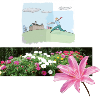 sommario-vivere sommario-vivere