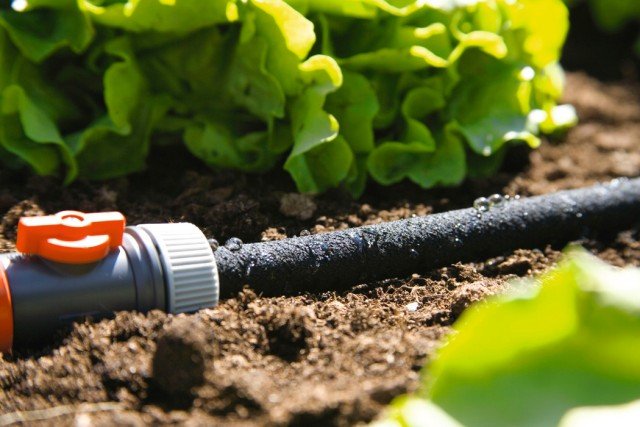 Tubo poroso Gardena per annaffiare giardino, orto o prato di casa Tubo poroso Gardena per annaffiare giardino, orto o prato di casa