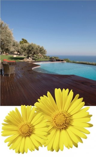 ¥4CDC07_011012 sommario EP.indd ¥4CDC07_011012 sommario EP.indd