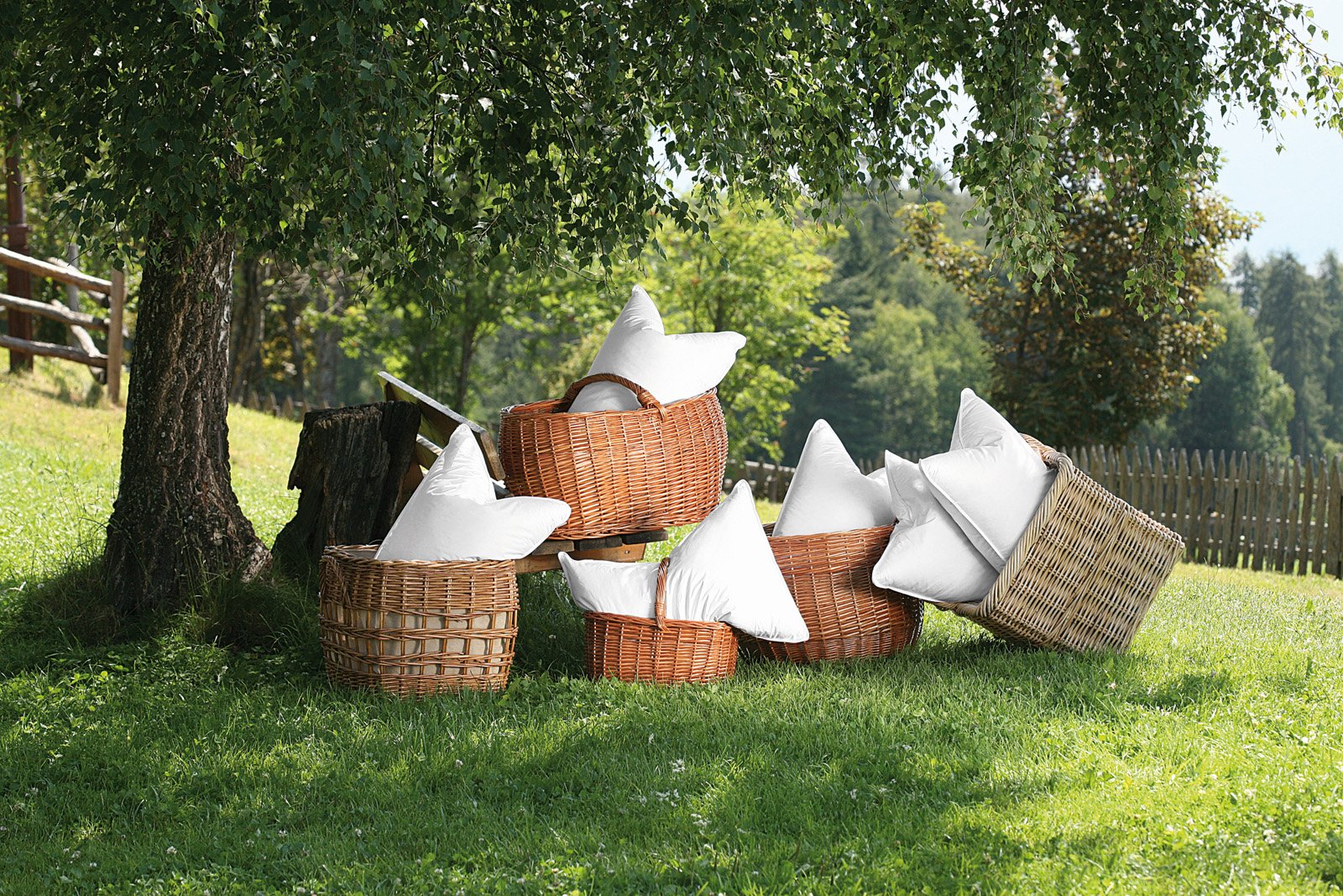 I cuscini DaunenStep, disponibili in diverse miscele di piuma e piumette e in materiali di ultima generazione, sono stati studiati in modo da garantire un dolce sonno. Tra le proposte, Diaman in piuma e Perla Cirmolo con nucleo in fiocchi di cirmolo e guscio in piumino; prezzo da 119 euro.