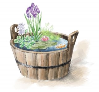 mastello piante acquatiche mastello piante acquatiche