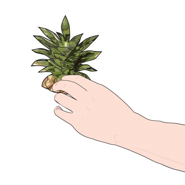 ciuffo di ananas ciuffo di ananas