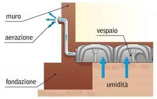 carbonara-umidita-vespaio