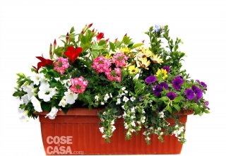 cassetta fiorita per balcone