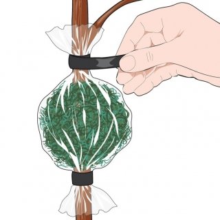 7. Riempire completamente il manicotto con sfagno umido, sollevare lo sfagno in modo da formare una palla e chiudere con nastro adesivo l’estremità superiore. 7. Riempire completamente il manicotto con sfagno umido, sollevare lo sfagno in modo da formare una palla e chiudere con nastro adesivo l’estremità superiore.