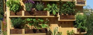 parete aromatiche orto verticale parete aromatiche orto verticale