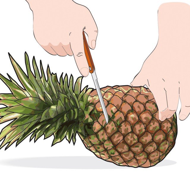 Si recide il ciuffo di ananas con un coltello ben affilato due dita appena sotto l’attacco delle foglie Si recide il ciuffo di ananas con un coltello ben affilato due dita appena sotto l’attacco delle foglie