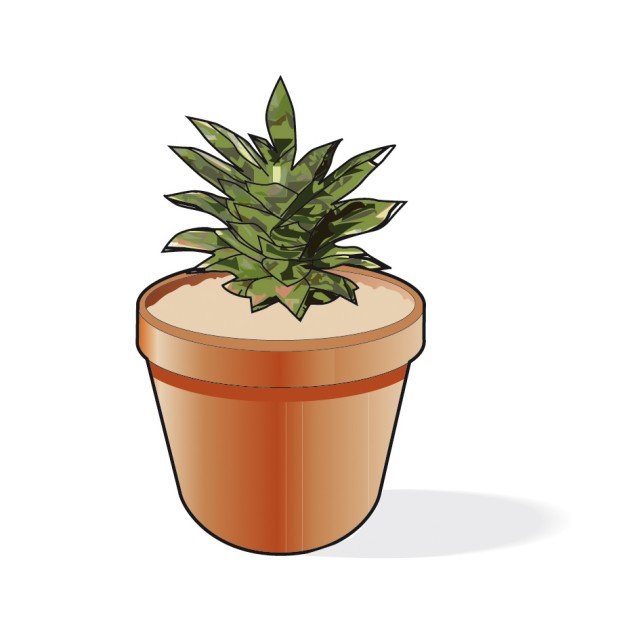 sistemare il ciuffo di ananas in un recipiente di circa 8 cm di diametro sistemare il ciuffo di ananas in un recipiente di circa 8 cm di diametro