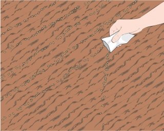 3. Seminare in file distanti 20 cm una dall’altra.