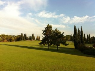 Grande Tappeto Erobso (115) Grande Tappeto Erobso (115)