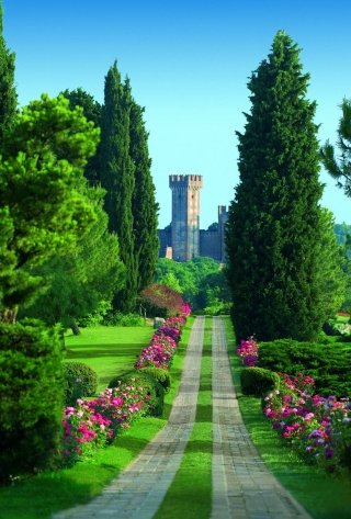 Viale delle Rose (1) Viale delle Rose (1)