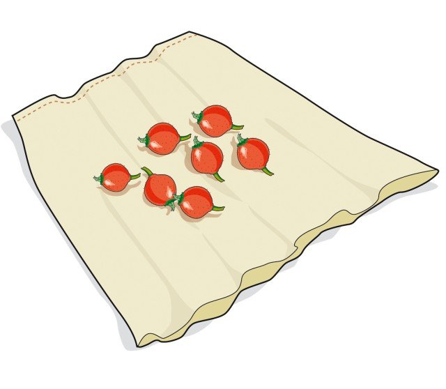 Per estrarre i semi da bacche carnose, introdurre tutto il frutto dentro un sacchetto di cotone o lino a trama fitta. Per estrarre i semi da bacche carnose, introdurre tutto il frutto dentro un sacchetto di cotone o lino a trama fitta.