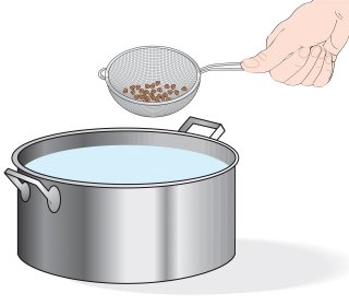 immergere semi delle piante perenni immergere semi delle piante perenni