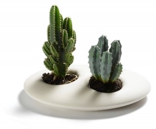 Il vaso per minicoltivazioni Doline di Lineasette è in gres porcellanato; nella versione grande misura L 21 x P 16 x H 4 cm. Prezzo 51,30 euro.<strong> www.lineasette.com</strong> Il vaso per minicoltivazioni Doline di Lineasette è in gres porcellanato; nella versione grande misura L 21 x P 16 x H 4 cm. Prezzo 51,30 euro.<strong> www.lineasette.com</strong>