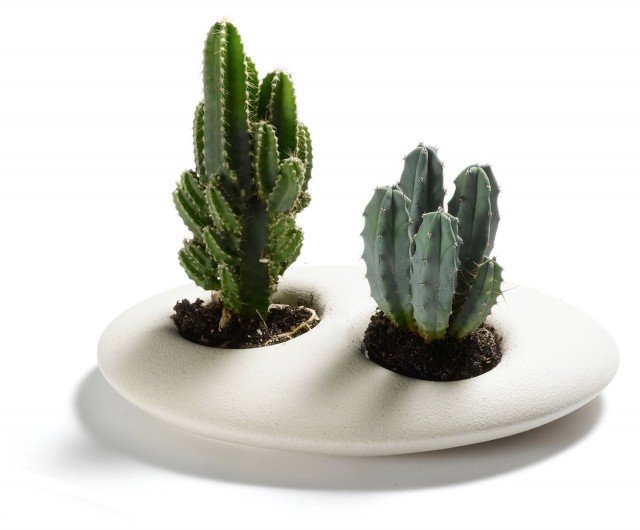 Il vaso per minicoltivazioni Doline di Lineasette è in gres porcellanato; nella versione grande misura L 21 x P 16 x H 4 cm. Prezzo 51,30 euro.<strong> www.lineasette.com</strong> Il vaso per minicoltivazioni Doline di Lineasette è in gres porcellanato; nella versione grande misura L 21 x P 16 x H 4 cm. Prezzo 51,30 euro.<strong> www.lineasette.com</strong>