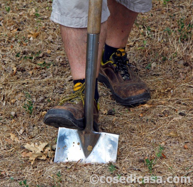 1- Da settembre sino a fine ottobre si può procedere alla messa a dimora delle piante da siepe. Dopo aver individuato la zona, si procede alla lavorazione del terreno con la vanga: la striscia lavorata deve essere larga 30-40 cm e arrivare a una profondità di 40-50 cm. 1- Da settembre sino a fine ottobre si può procedere alla messa a dimora delle piante da siepe. Dopo aver individuato la zona, si procede alla lavorazione del terreno con la vanga: la striscia lavorata deve essere larga 30-40 cm e arrivare a una profondità di 40-50 cm.