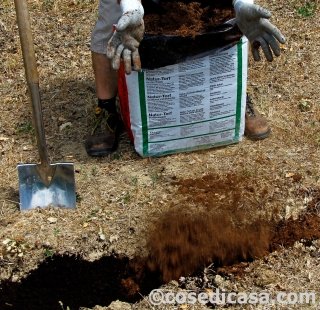 3 - Al di sopra si pone la torba fibrosa. I vari elementi aggiunti servono a garantire la giusta fertilità alle piante, indispensabile soprattutto nelle fasi iniziali di attecchimento. 3 - Al di sopra si pone la torba fibrosa. I vari elementi aggiunti servono a garantire la giusta fertilità alle piante, indispensabile soprattutto nelle fasi iniziali di attecchimento.