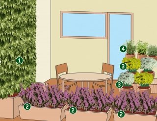 terrazzo autunnale fiorito con erica, vite americana, crisantemi, erbe aromatiche terrazzo autunnale fiorito con erica, vite americana, crisantemi, erbe aromatiche