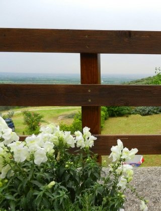 faidate-sabrina-stefano-recinzione2 faidate-sabrina-stefano-recinzione2