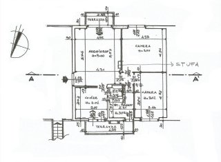 flora morandini-piccinno-piantaA flora morandini-piccinno-piantaA