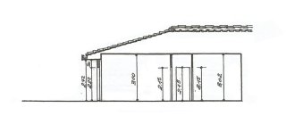 flora morandini-piccinno-sezioneAA flora morandini-piccinno-sezioneAA