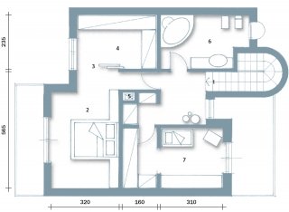 pianta-PRIMO-verdefuori pianta-PRIMO-verdefuori