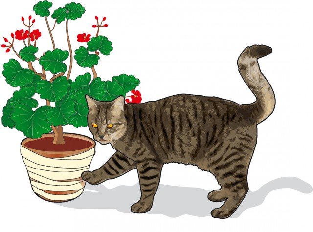 3. La superficie esterna del vaso si può ricoprire completamente con nastro biadesivo: quando il gatto si avvicina avrà la sensazione di “appiccicoso” sul pelo che gli risulta particolarmente sgradevole Eviterà di avvicinarsi nuovamente. 3. La superficie esterna del vaso si può ricoprire completamente con nastro biadesivo: quando il gatto si avvicina avrà la sensazione di “appiccicoso” sul pelo che gli risulta particolarmente sgradevole Eviterà di avvicinarsi nuovamente.