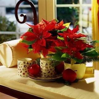 11-sommario-dicembre-picc2 11-sommario-dicembre-picc2