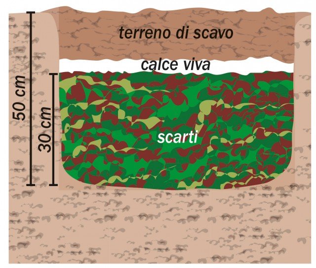 Scaviamo una buca sovradimensionata rispetto al volume di detriti vegetali che ci attendiamo di ricavare dal nostro orto Scaviamo una buca sovradimensionata rispetto al volume di detriti vegetali che ci attendiamo di ricavare dal nostro orto