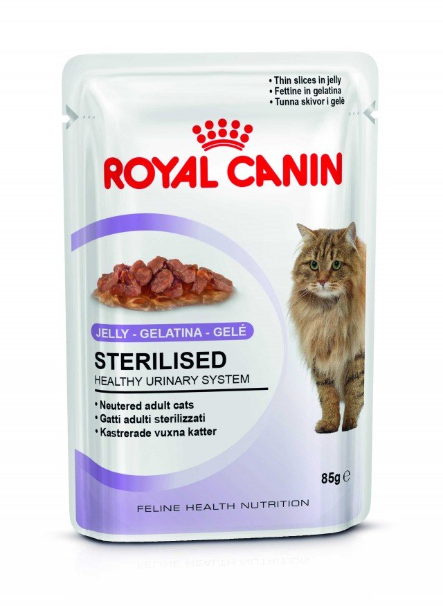 Feline Health Nutrition di Royal Canin umido in gelatina Feline Health Nutrition di Royal Canin umido in gelatina