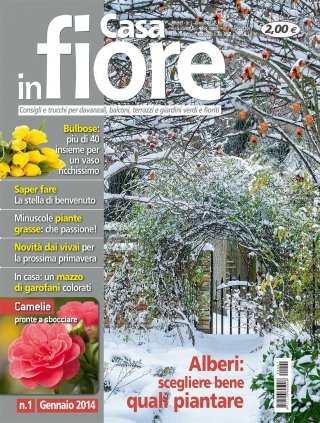 CIF01-cover CIF01-cover