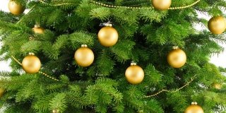 Albero di Natale: bello fino all’Epifania