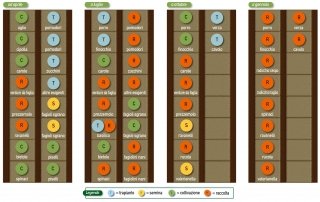 schema orto per due persone rotazione ortaggi da aprile a gennaio