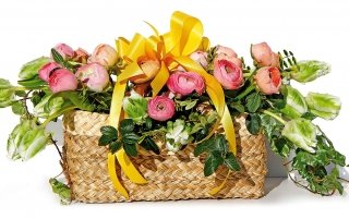 borsafiorita-amstudio borsafiorita-amstudio