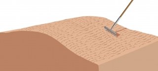 Rifinire il lavoro già fatto, rastrellando la superficie del terreno in modo da uniformarla e sagomarla a schiena d’asino così da non creare pericolosi avvallamenti che provochino ristagni d’acqua.