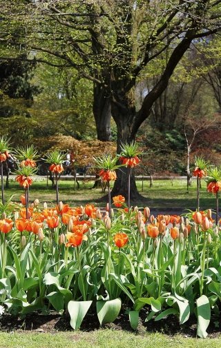 A&M-STUDIO-sigurta-gruppi-017 A&M-STUDIO-sigurta-gruppi-017